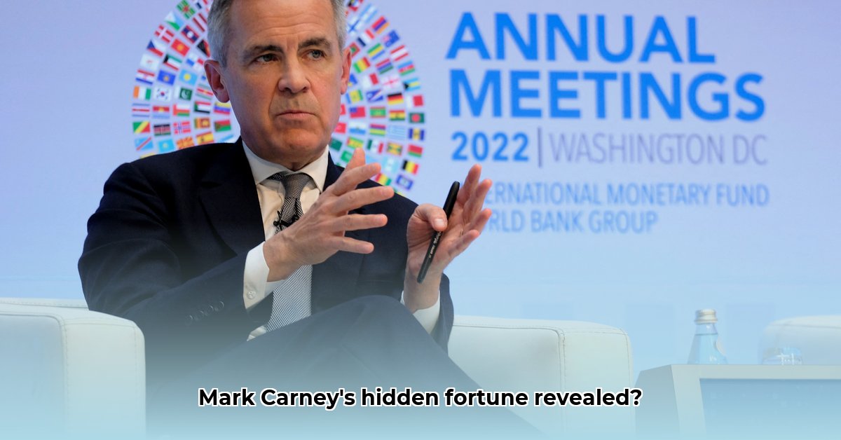 mark-carney-wealth-details